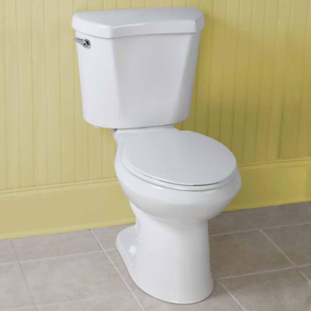 Glacier Bay All-in-One 2-Piece White Round Front Toilet