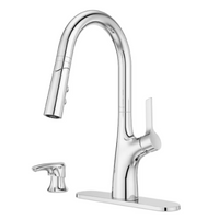 Pfister Ceylon Single-Handle Kitchen Sink Faucet