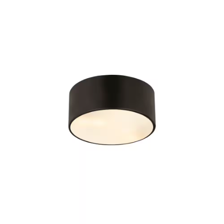 Z-Lite Harley Industrial Matte Black 2 Light Flush Mount