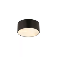 Z-Lite Harley Industrial Matte Black 2 Light Flush Mount