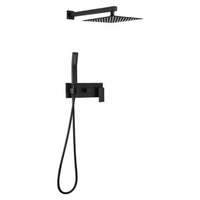 WELLFOR Wall Mounted Hand Shower and Shower Head Combo Kit Shower System in Matte Black