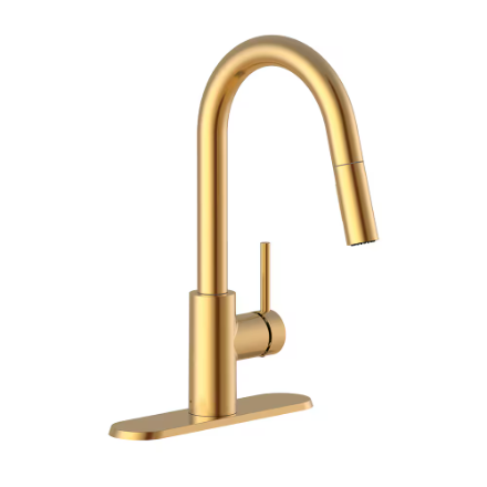 Haisley Single-Handle Pull-Down Kitchen Faucet in Brushed Gold