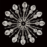 Eurofase Corato Collection