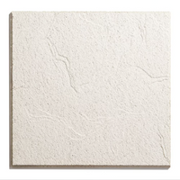 2 ft. x 2 ft. Lay-in Ceiling Tile -  Pack of 8