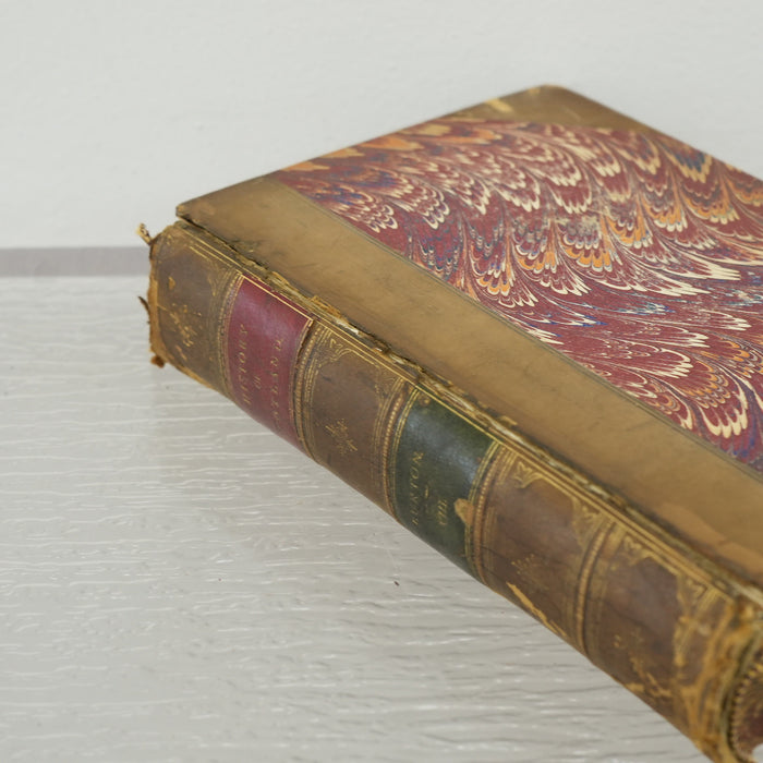 History of Scotland vol 8 by John Hill Burton 1873
