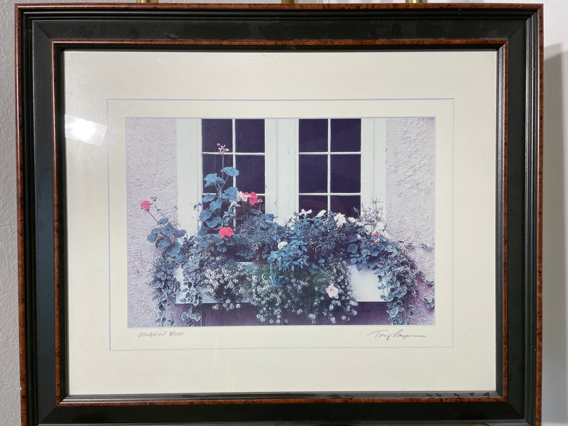 "Window Box" Framed Photograph Wall Art