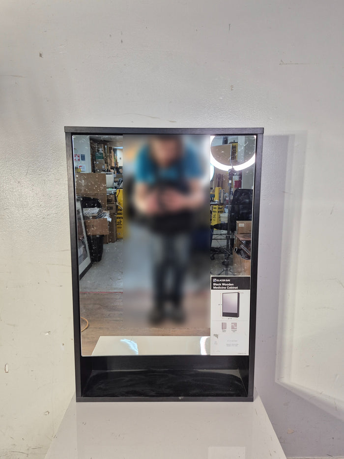 Glacier Bay 20" Medicine Cabinet