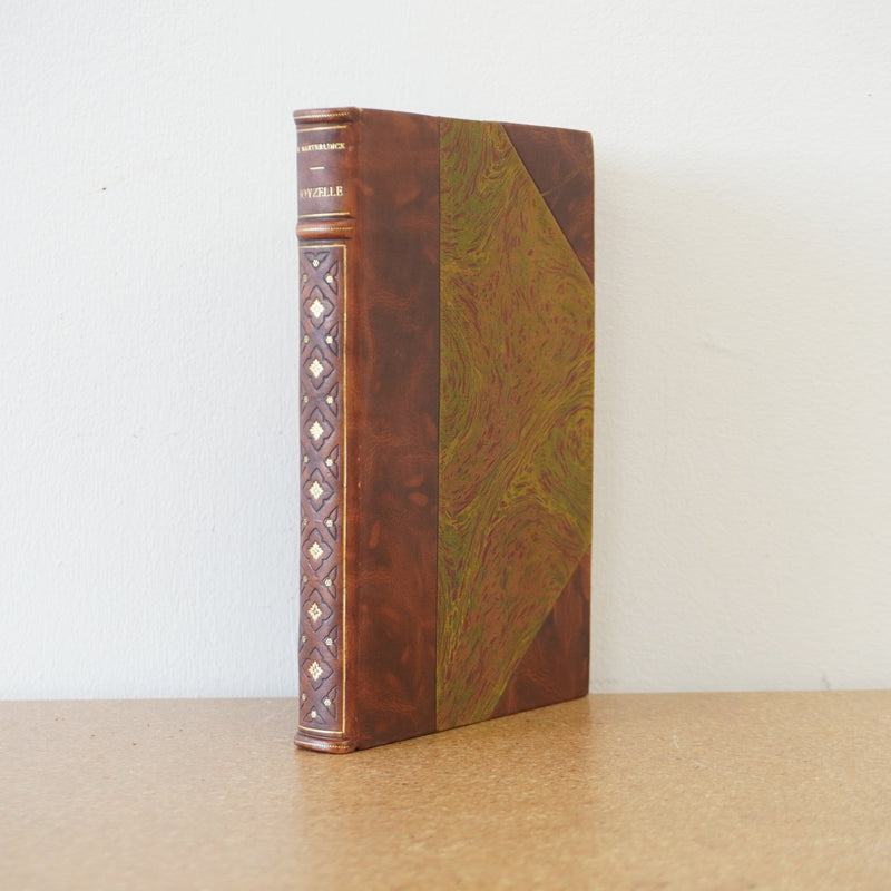 Joyzelle by Maurice Maeterlinck 1903
