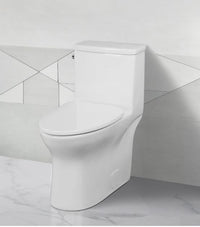 Glacier Bay Pemberton Toilet