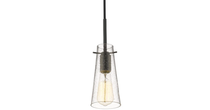 Z-Lite Monte 10" Tall Pendant with Clear Seedy Glass