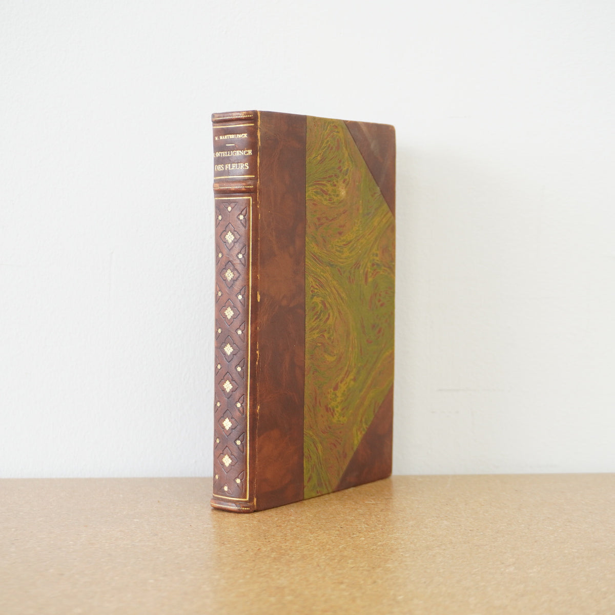L'intelligence des fleurs by Maurice Maeterlinck 1912
