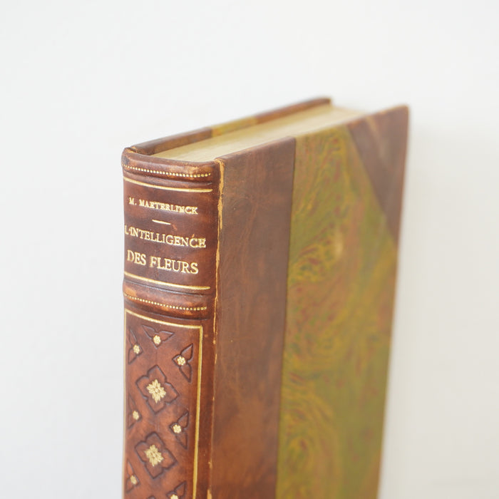 L'intelligence des fleurs by Maurice Maeterlinck 1912