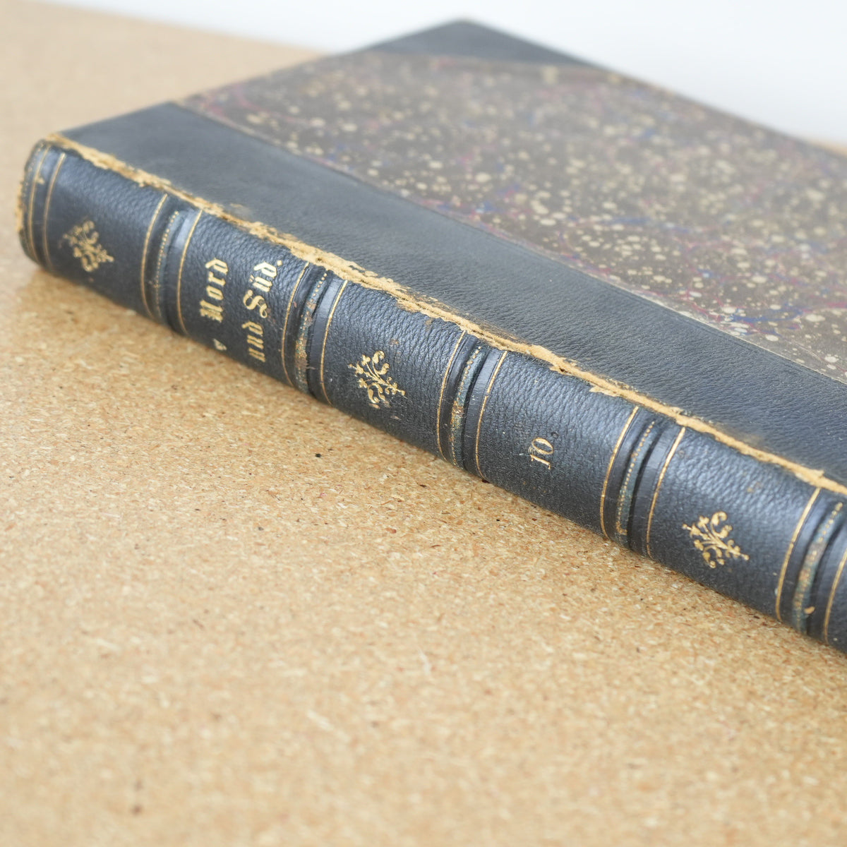 Nord und Süd. Eine deutsche Monatsschrift by Julius Rodenberg Vol 10 1879