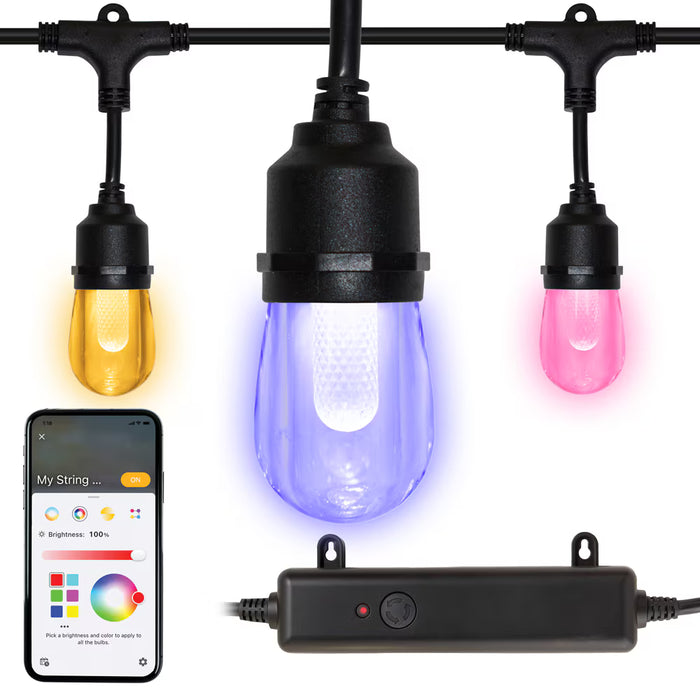 Hampton Bay 24 ft. Smart Indoor/Outdoor RGBW Color Changing Plug-in LED String Light