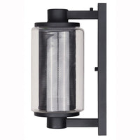 Jagger 1-Light Black Outdoor Wall Sconce with Clear Glass Shade and Mesh