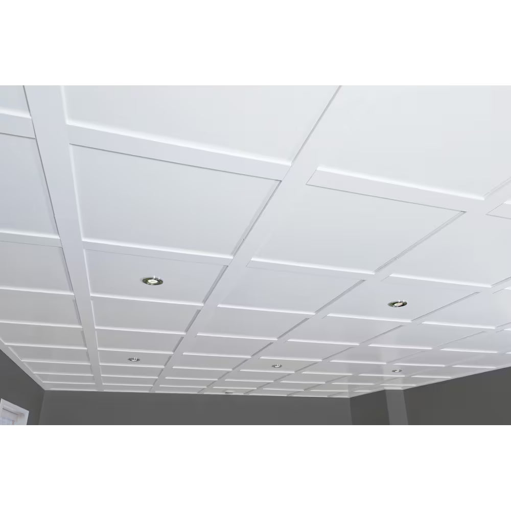 Embassy Ceilings Suspended Ceiling Tile Kit - 20 Panels 2 ft. x 2 ft. (100 sq. ft. total coverage)