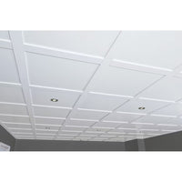 Embassy Ceilings Suspended Ceiling Tile Kit - 20 Panels 2 ft. x 2 ft. (100 sq. ft. total coverage)
