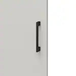 Dorel 18 in. L x 79 in. H Freestanding Closet Tower Door