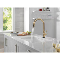 Delta Trinsic Single-Handle Pull-Down Kitchen Faucet Touch2O Touchless Technology, Champagne Bronze