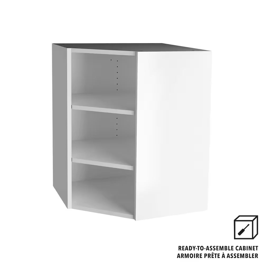 Hampton Bay 24 in. W x 30 H x 24 D Ready to Assemble Kitchen Wall Corner Cabinet, White