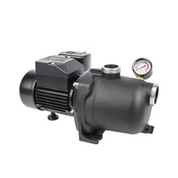 Shallow Well Jet Pump