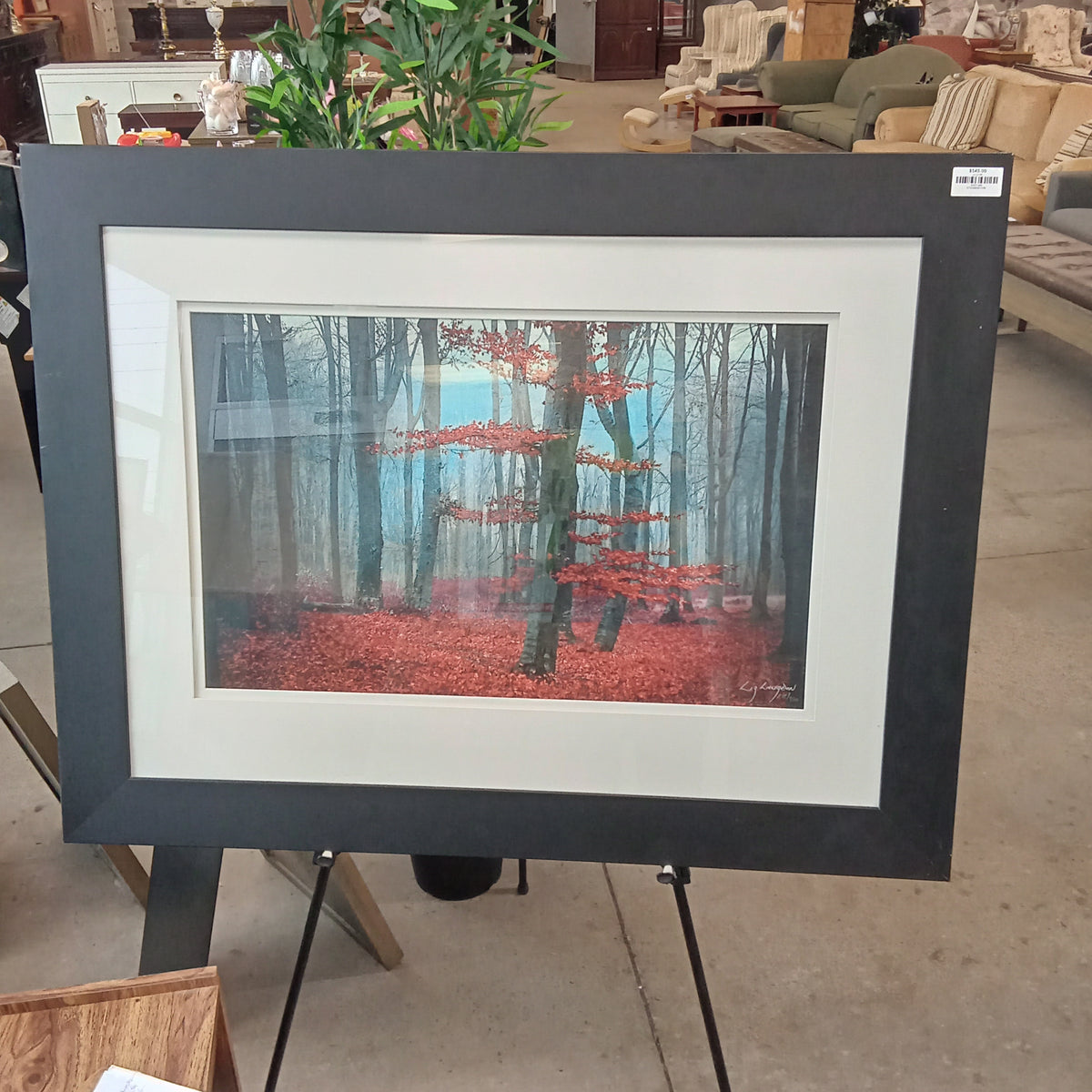 47"W "Fall in the Forest" Limited Print - Framed