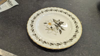40 Piece Floral China Set