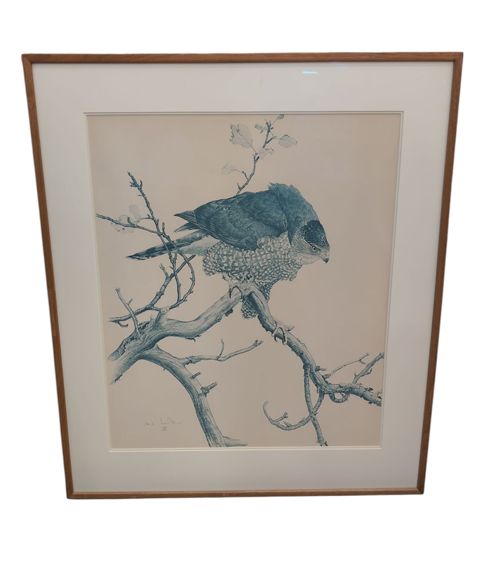 "THE COOPER'S HAWK" By Glen Loates