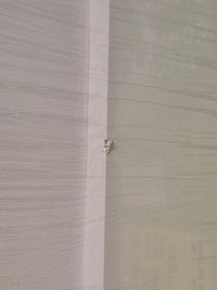 32"W x 80"H Primed 1-Panel Solid Wood Shaker Style Interior Slab Door MDF (Paint Grade)