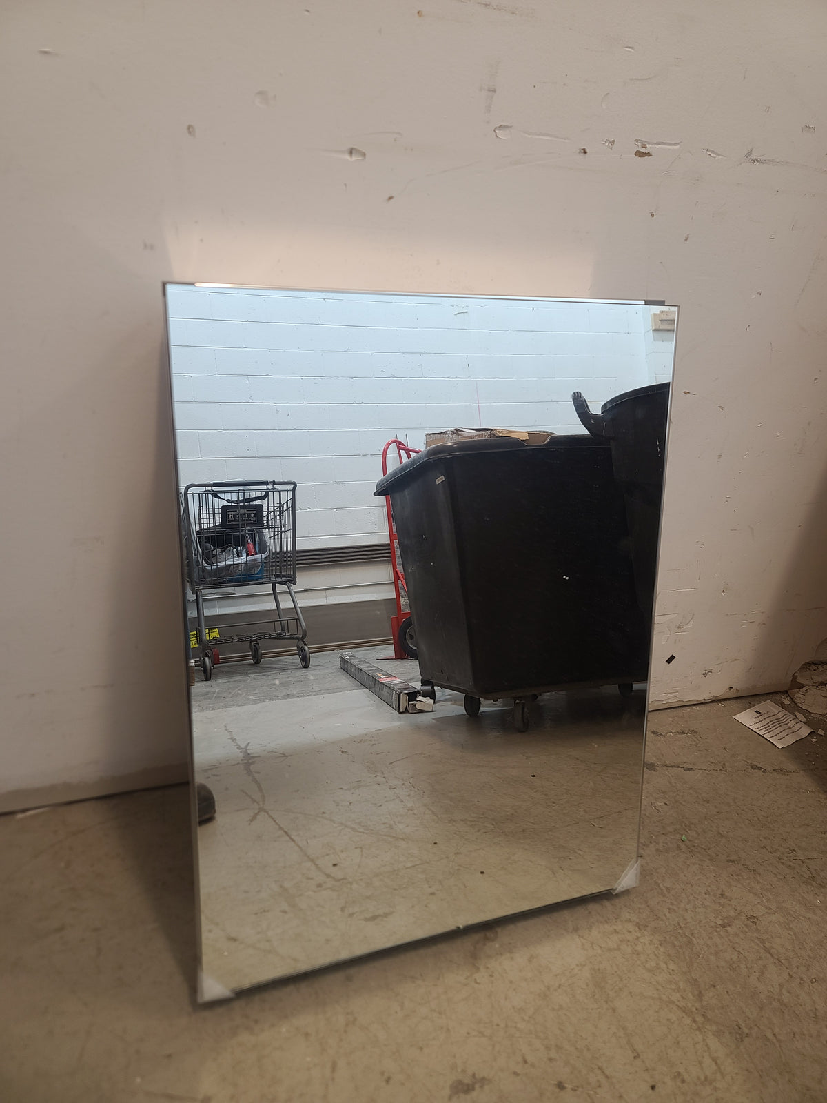26" H x 20" W Glass Medicine Cabinet