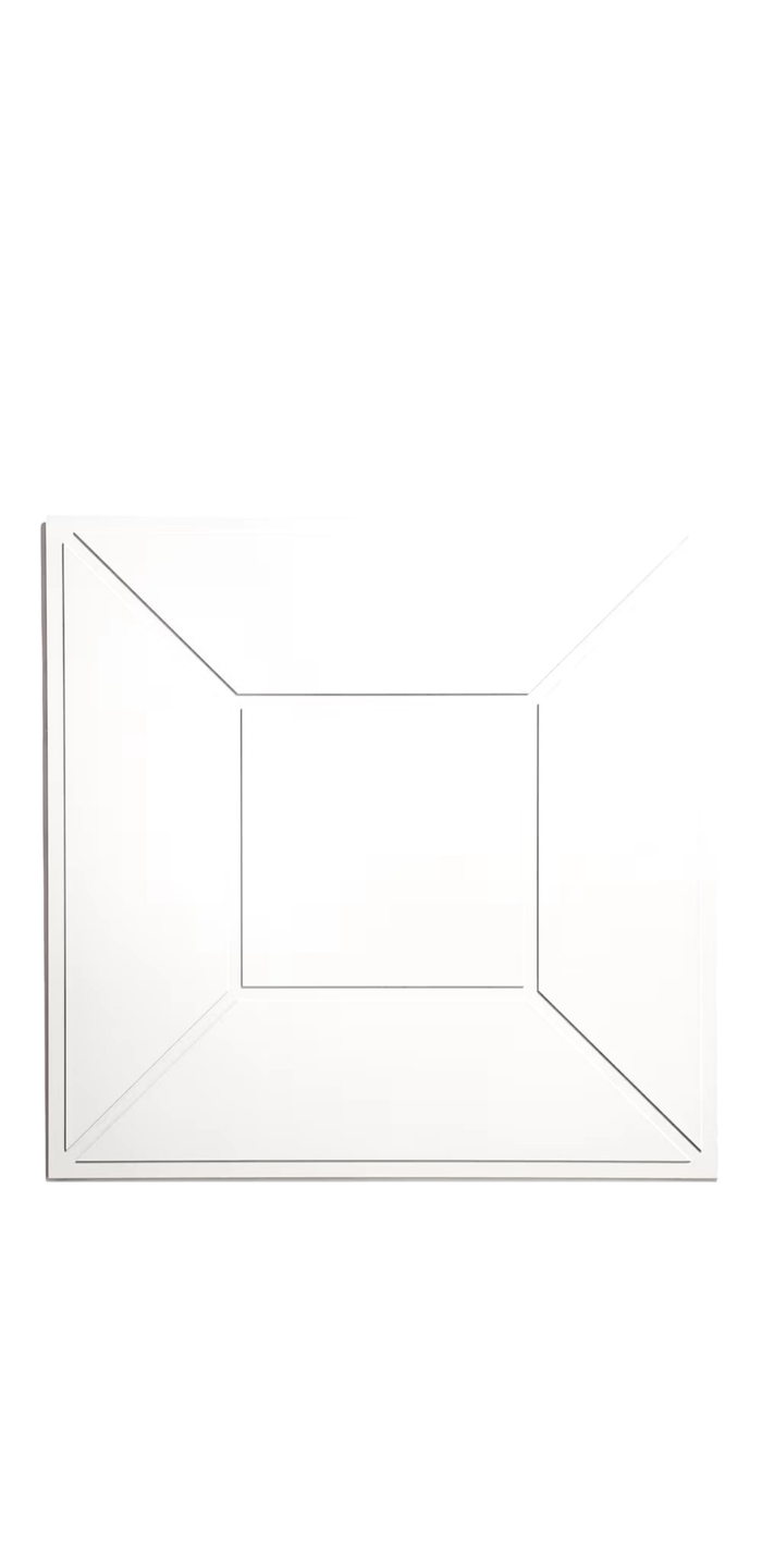 USG 2ft x 2ft Framed White Ceiling Tile