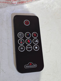 Napoleon Entice 72 Wall-Hanging Electric Fireplace with Remote (NEW)