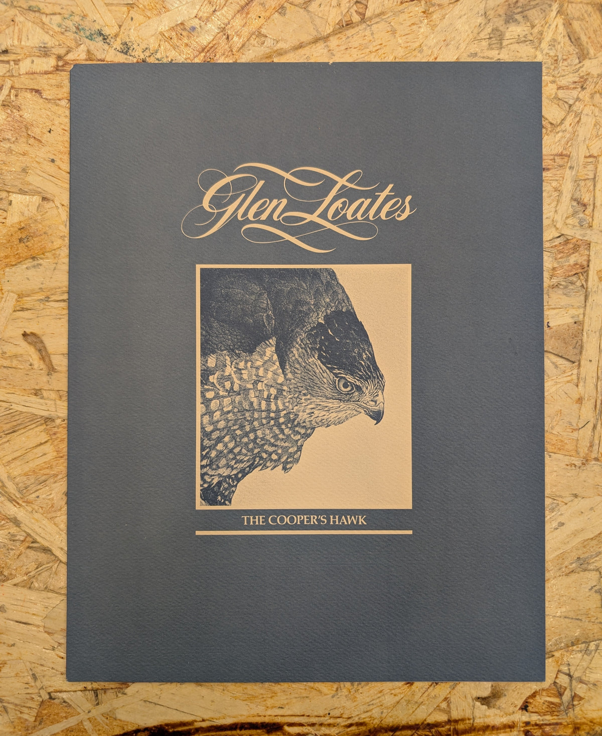 "THE COOPER'S HAWK" By Glen Loates