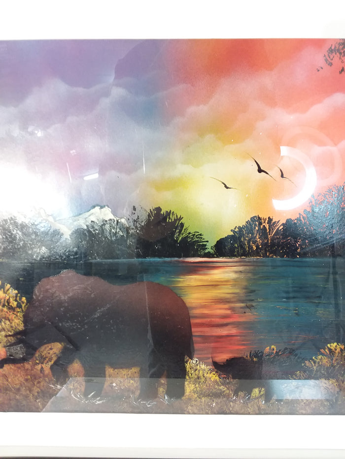 African Sunset Framed Print