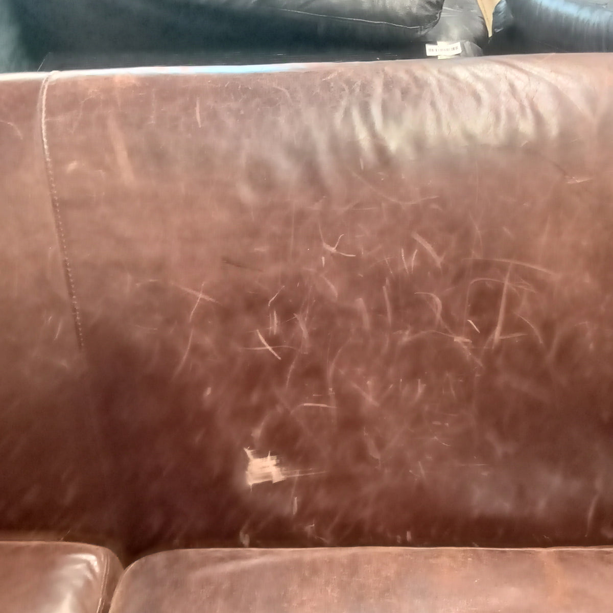 64"W Leather Love Seat