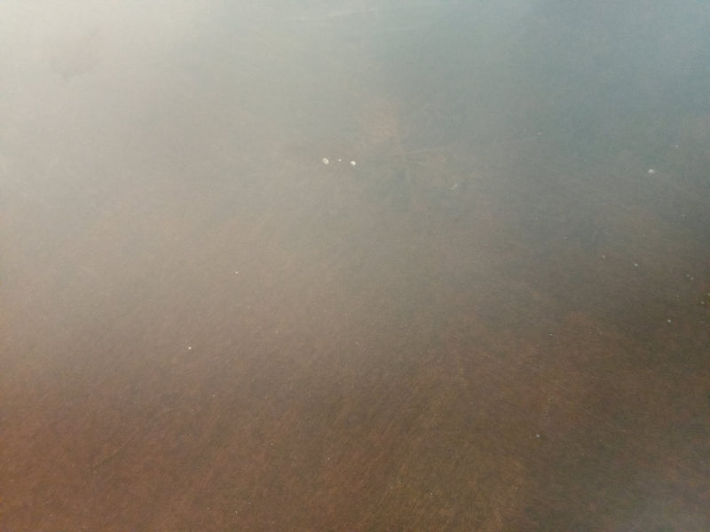 Bassett Side Table With Drawer