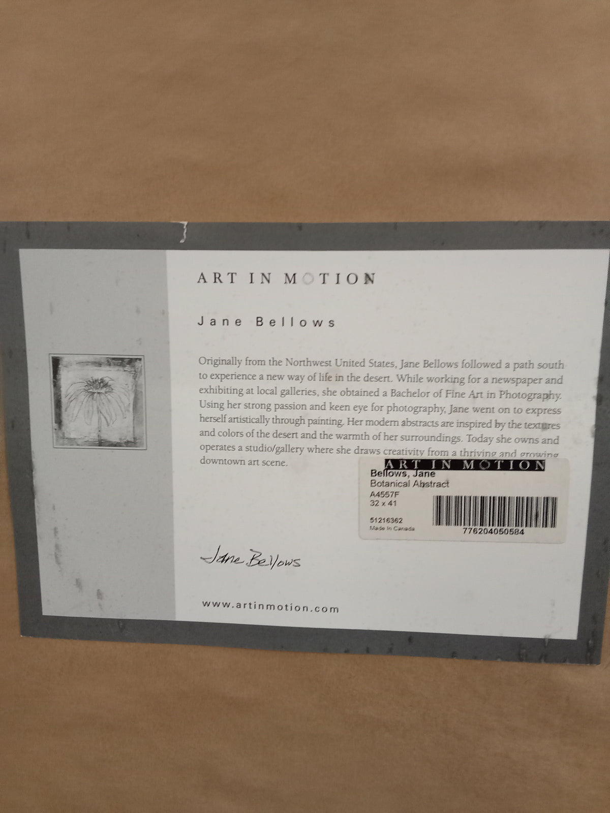 32"W "Botanical Abstract" - Framed