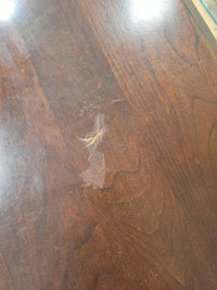 High Gloss Mahogany End Table
