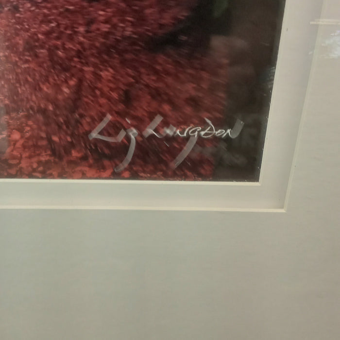 47"W "Fall in the Forest" Limited Print - Framed