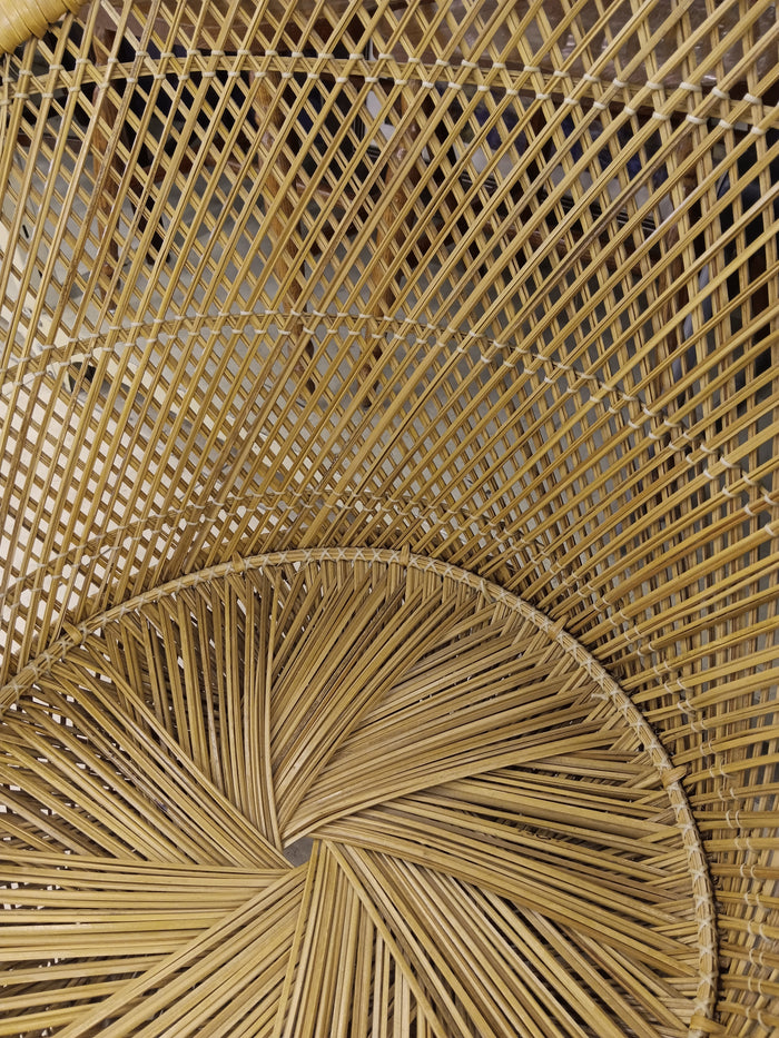 Woven Easy Chair
