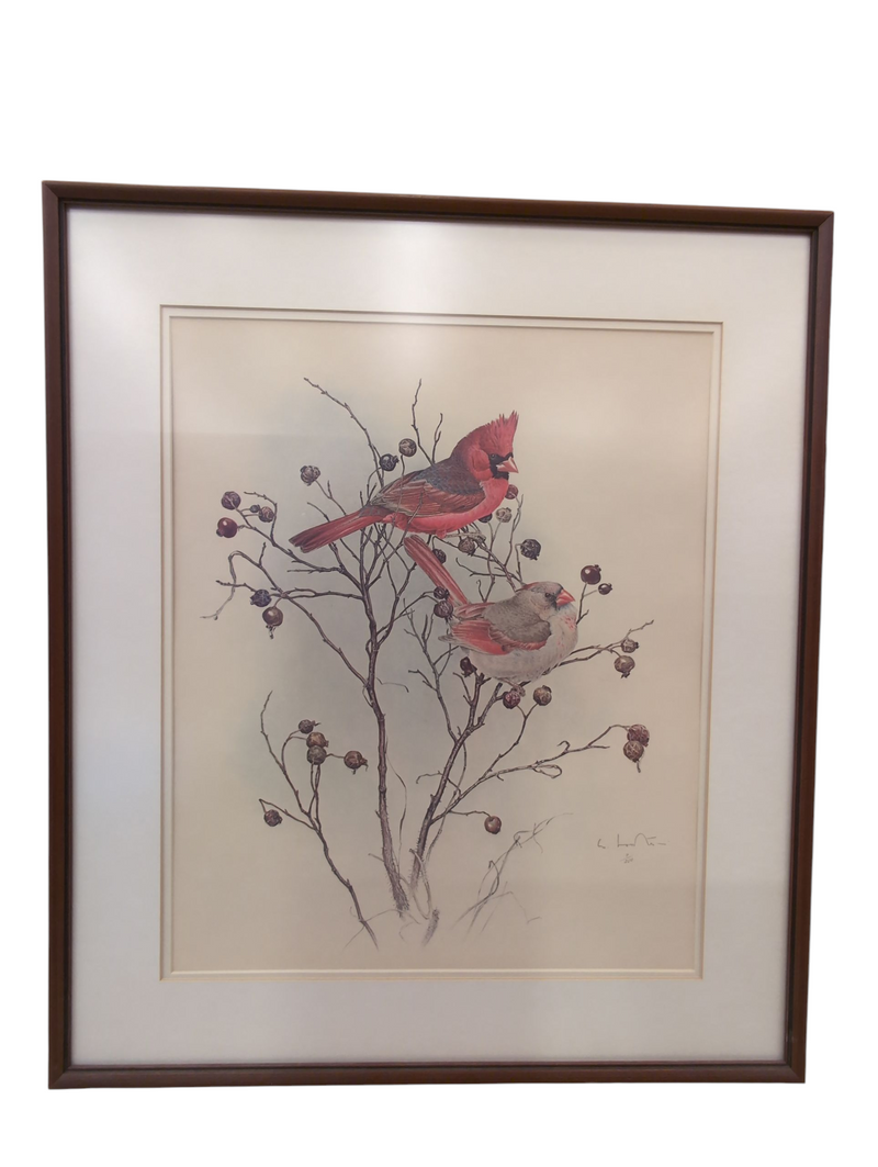 "Cardinal" By Glen Loates