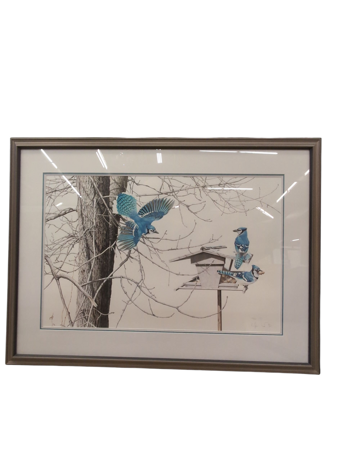 "BLUE JAYS AT MY FEEDER" By Glen Loates