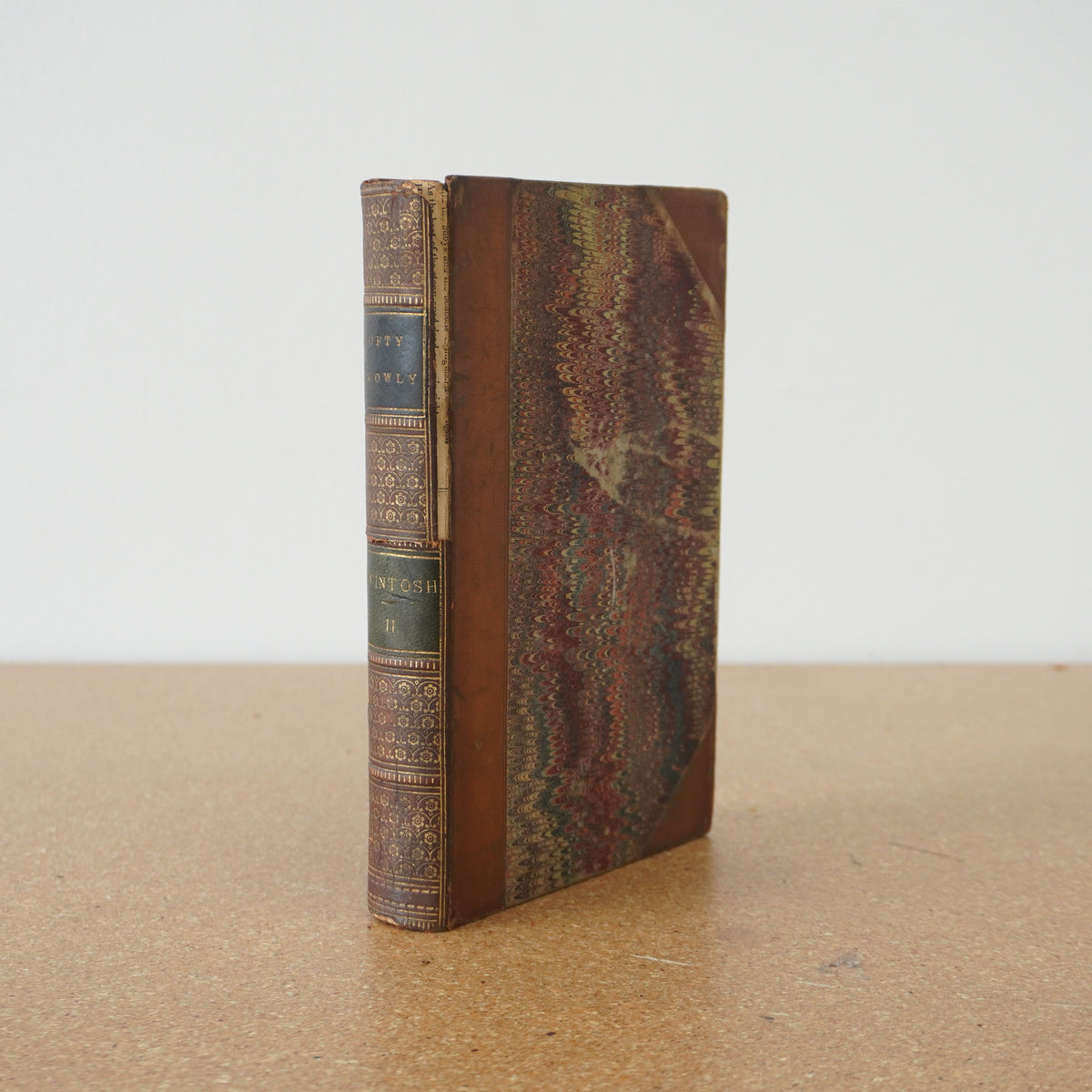 The Lofty and the Lowly, or Good in All and None AllGood Vol 2 by MJ Mcintosh 1864