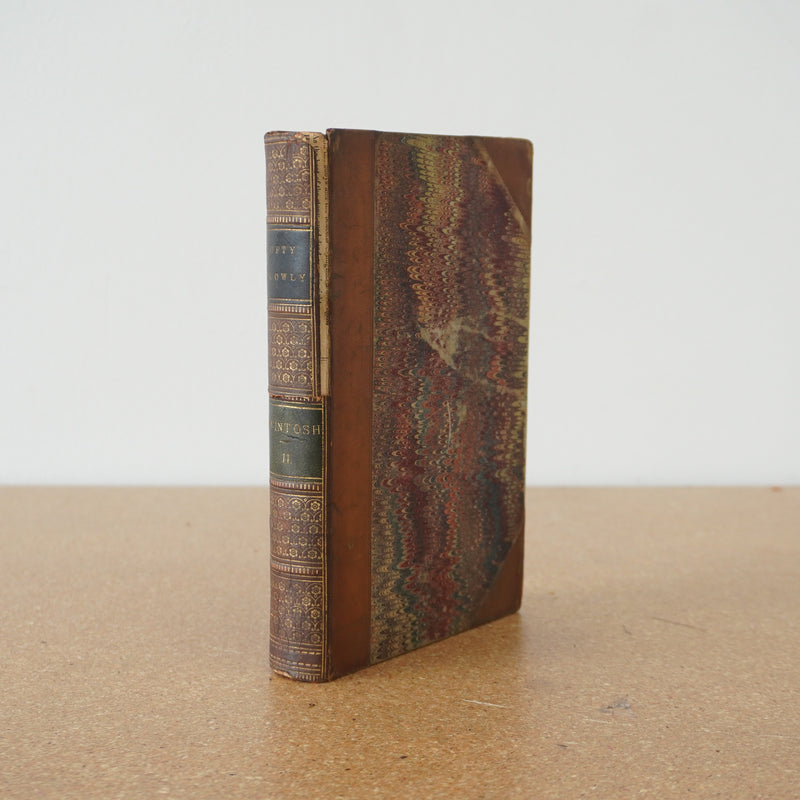 The Lofty and the Lowly, or Good in All and None AllGood Vol 2 by MJ Mcintosh 1864