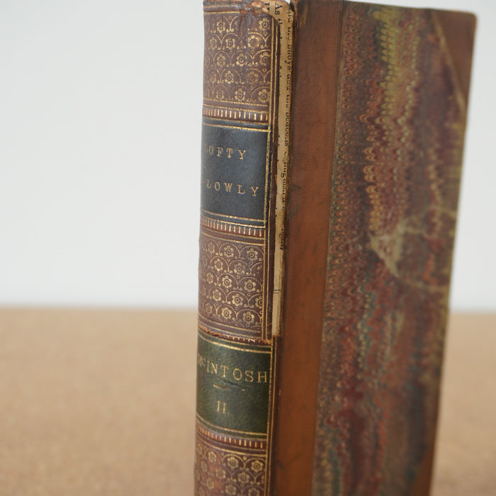 The Lofty and the Lowly, or Good in All and None AllGood Vol 2 by MJ Mcintosh 1864