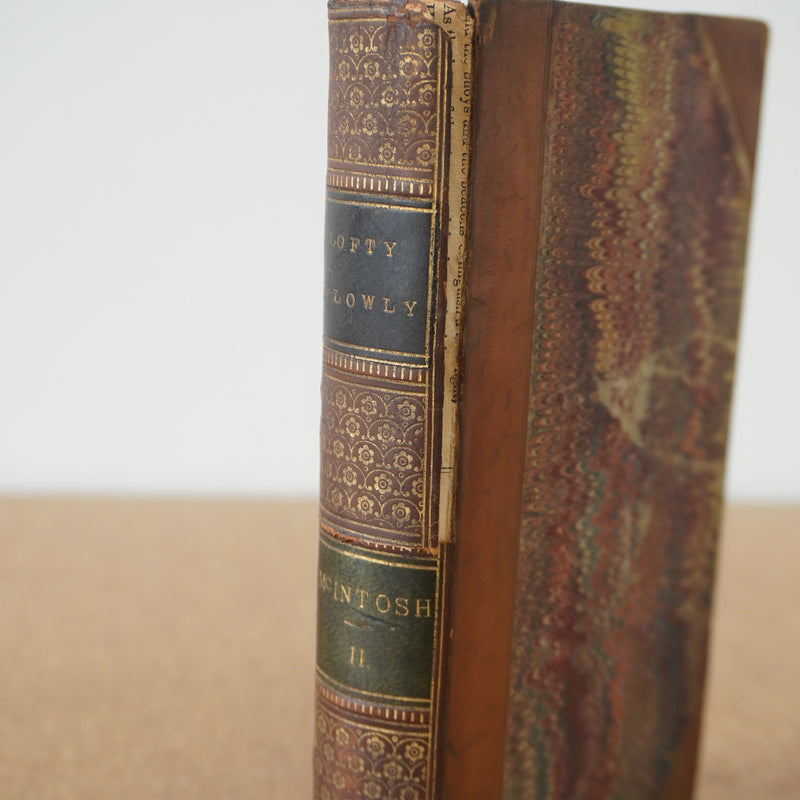 The Lofty and the Lowly, or Good in All and None AllGood Vol 2 by MJ Mcintosh 1864