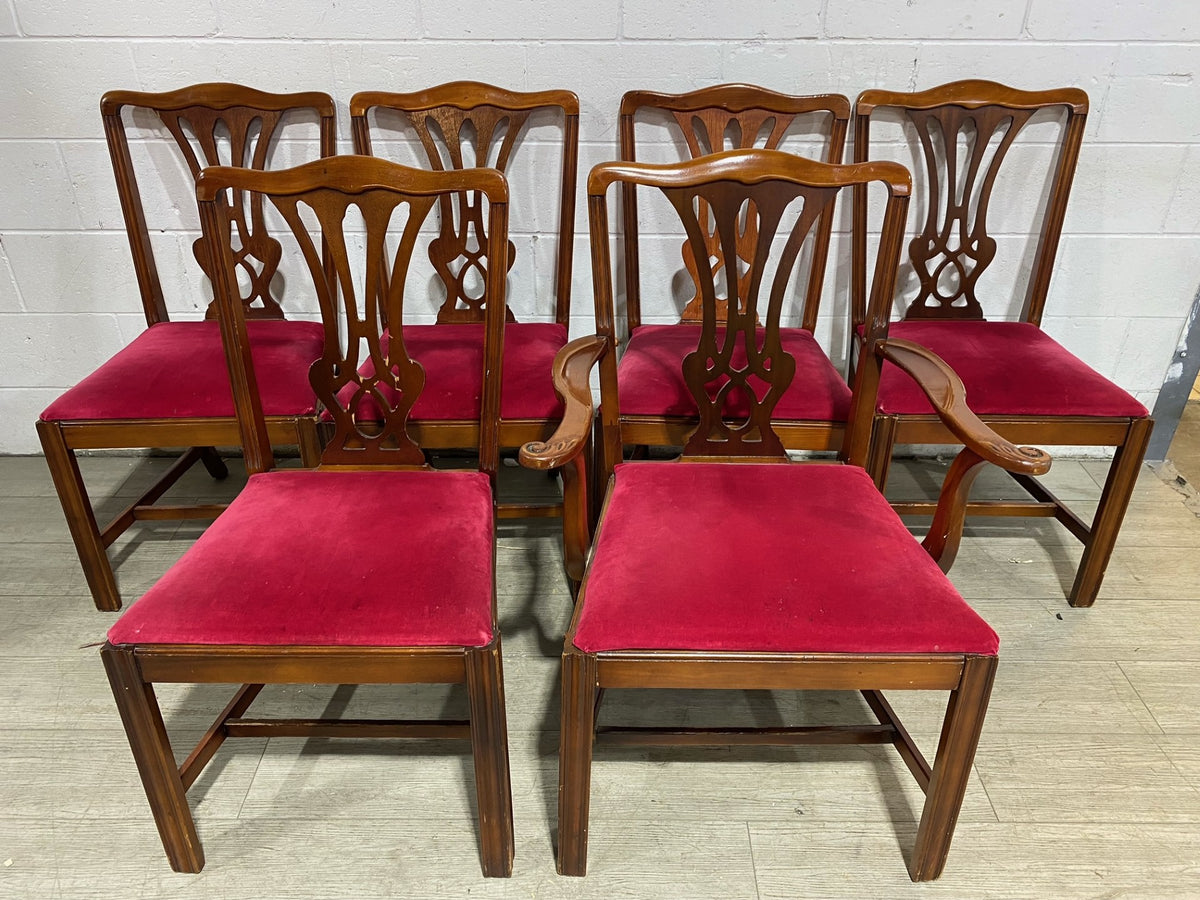 Set of 6 Dining Chairs