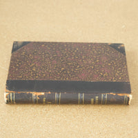 Vorlesungen über Physiologie Vol 1 by Ernst Wilhelm von Brücke 1885