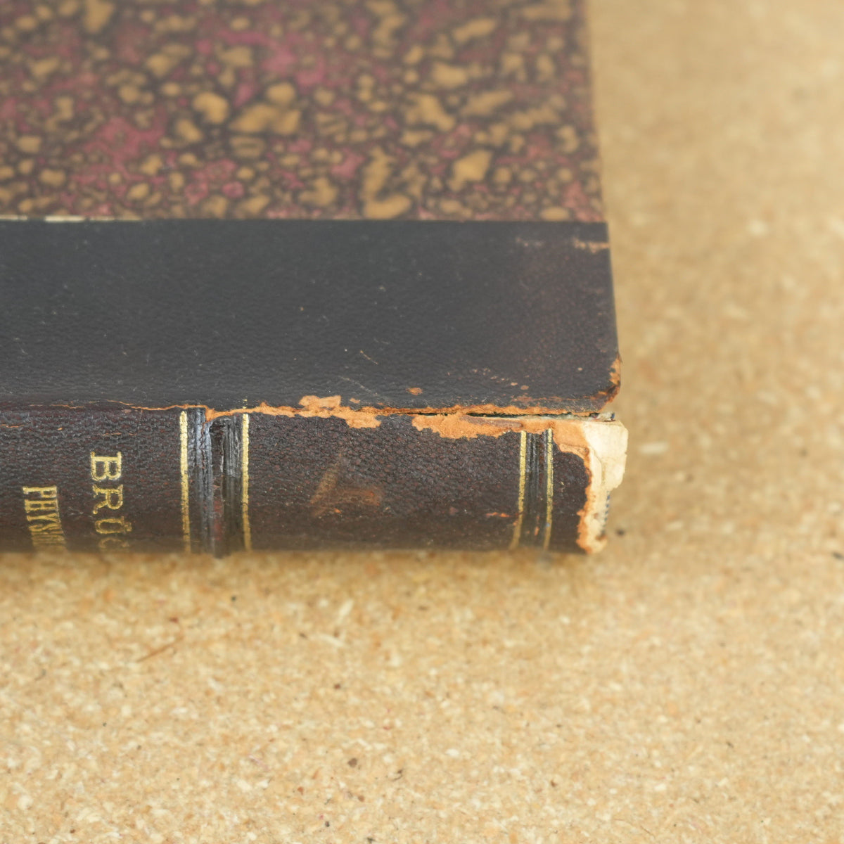 Vorlesungen über Physiologie Vol 1 by Ernst Wilhelm von Brücke 1885