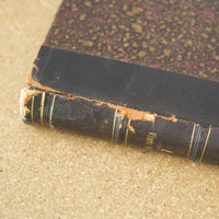 Vorlesungen über Physiologie Vol 1 by Ernst Wilhelm von Brücke 1885